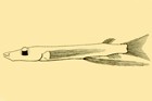 A black and white illustration from Brauer (1906) of the holotype of the spookfish Dolichopteryx anascopa